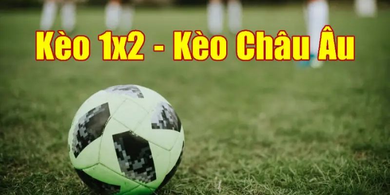 Kèo Châu Âu - Chiến Lược Giúp Người Chơi Tối Ưu Lợi Nhuận